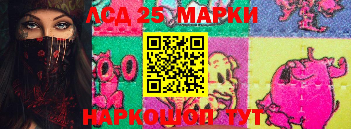 Лсд 25 экстази кислота  omg сайт  ЛСД экстази  ЛСД экстази ecstasy  Майкоп  Вход с VPN 