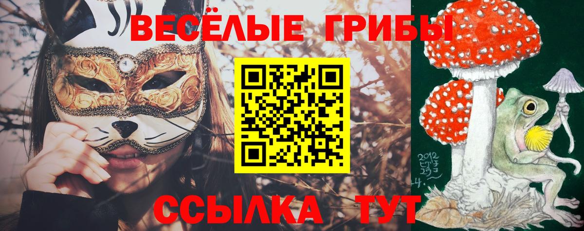 Псилоцибиновые грибы ЛСД  хочу   Майкоп  Галлюциногенные грибы мицелий  Вход с VPN 
